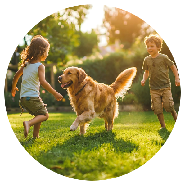 Family Tick Protection in Halifax Nova Scotia