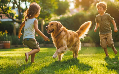 Veterinarians Seeing Spike in Tick Exposure for Pets