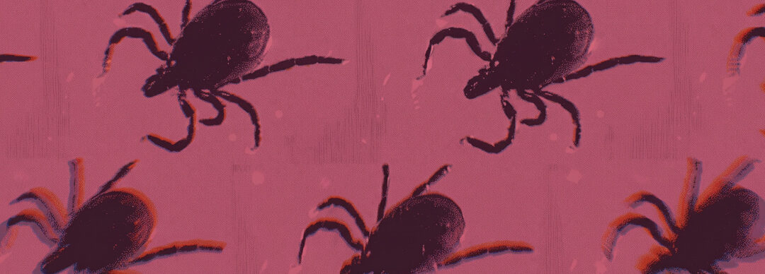 Kill the Ticks – The Atlantic (significant control measures needed)