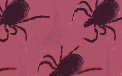 Kill the Ticks – The Atlantic (significant control measures needed)