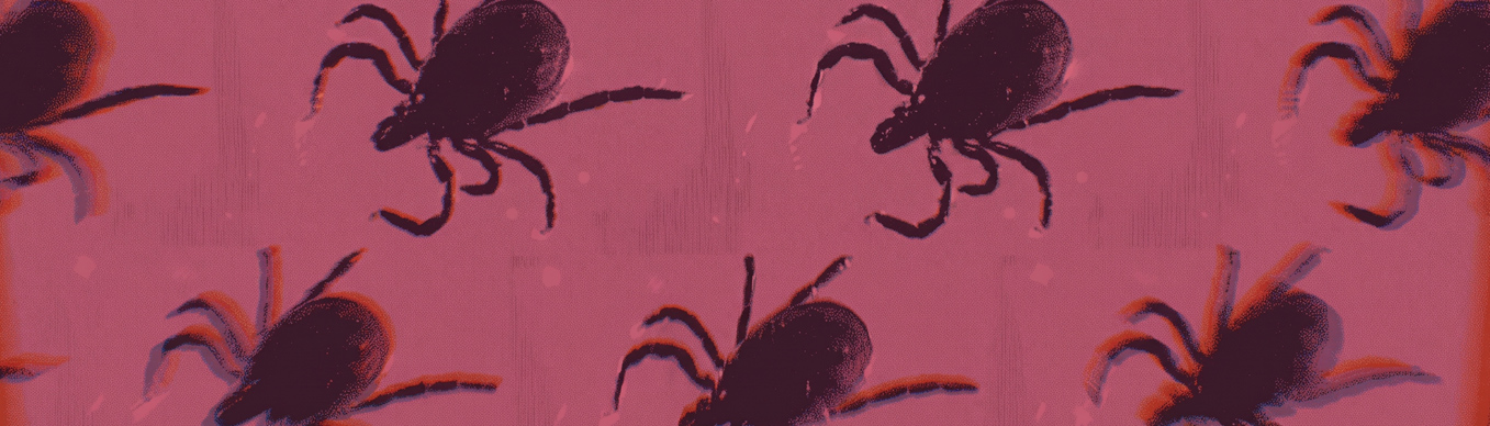 kill-the-ticks